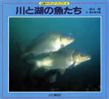 川と湖の魚たち (山渓ネイチュア・ブックス (4))