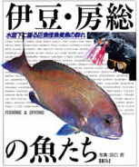 伊豆・房総の魚たち―水面下に躍る巨魚怪魚美魚の群れ (1985年)
