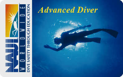I[vEH[^[_Co[R[X\Open Water Diver\