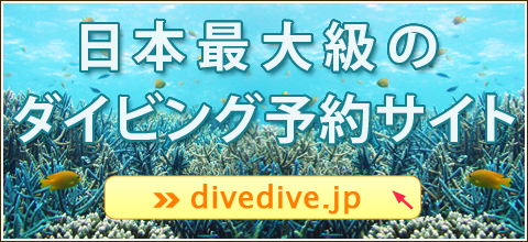 日本最大級のダイビング予約サイト「divedive.jp」