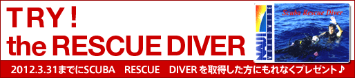 TRY! the RESUCUE DIVER