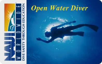 I[vEH[^[_Co[R[X\Open Water Diver\