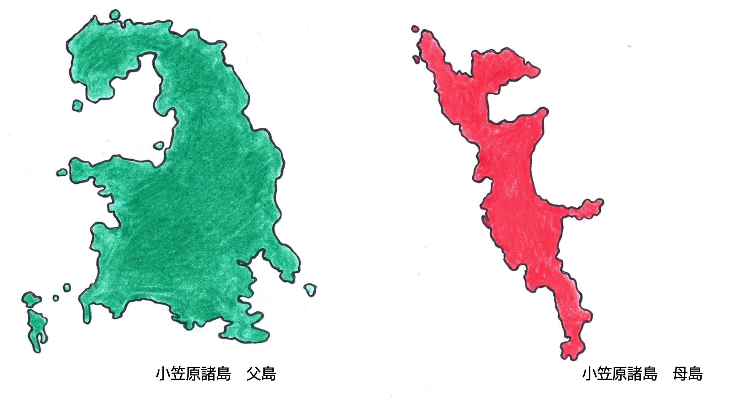 ＜日本国内でクジラに逢うことはできるのか？？＞