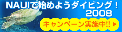 TOP^Cg