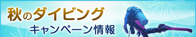 H̃_CrOLy[