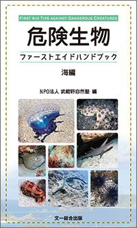 NAUIXN[oZ^[