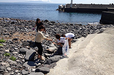 �Z�u���V�[�Y�@������ɂăr�[�`�N���[���A�b�v�����{�������܂����B�i����24�N8��30���j