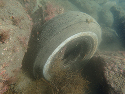 沖ノ島海底清掃