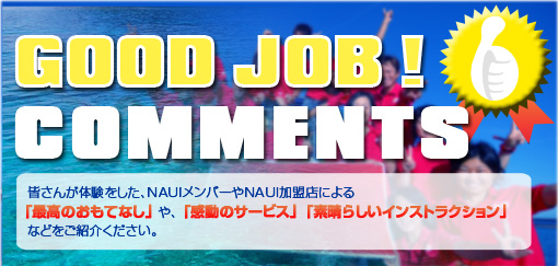Good JobIRg
