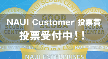 NAUI Customer投票賞投票受付中！！