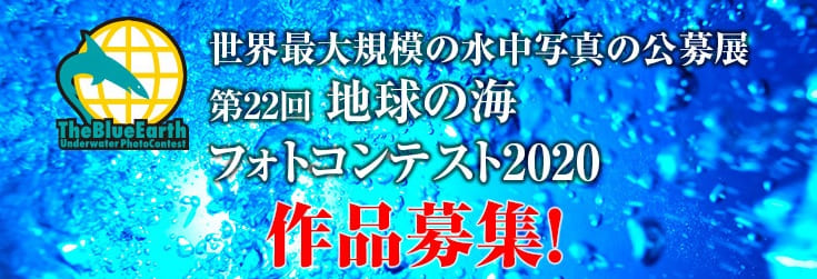 「地球の海フォトコンテスト2020」作品募集中！