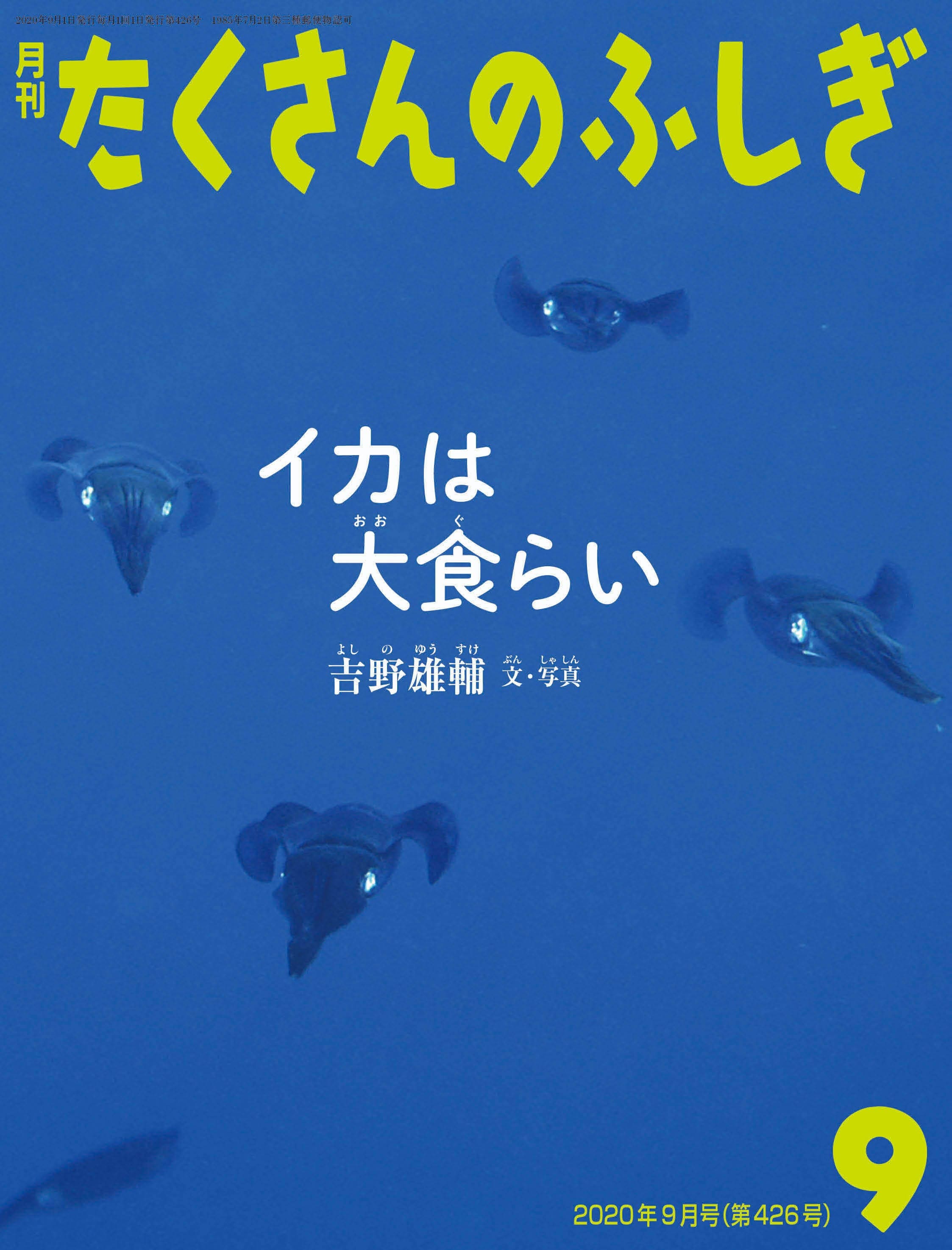 吉野雄輔 氏　たくさんのふしぎ9月号「イカは大食らい」のご案内