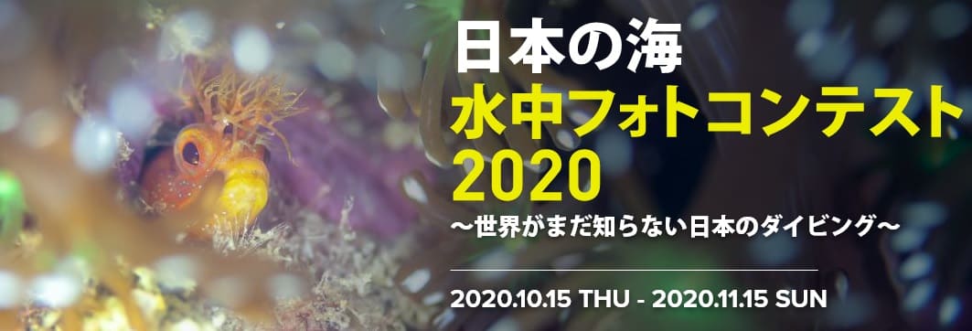 日本政府観光局が主催する「日本の海」水中フォトコンテスト2020を開催のご案内