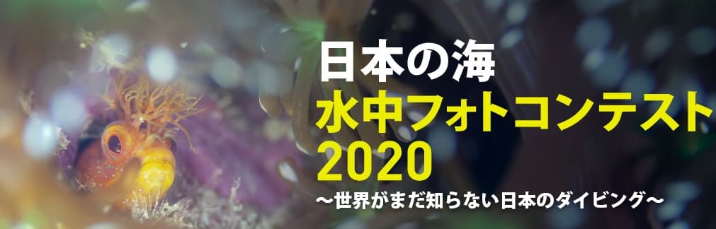 「日本の海」水中フォトコンテスト結果報告