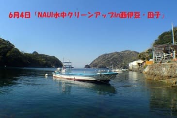 「NAUI水中クリーンアップin西伊豆・田子」開催!!