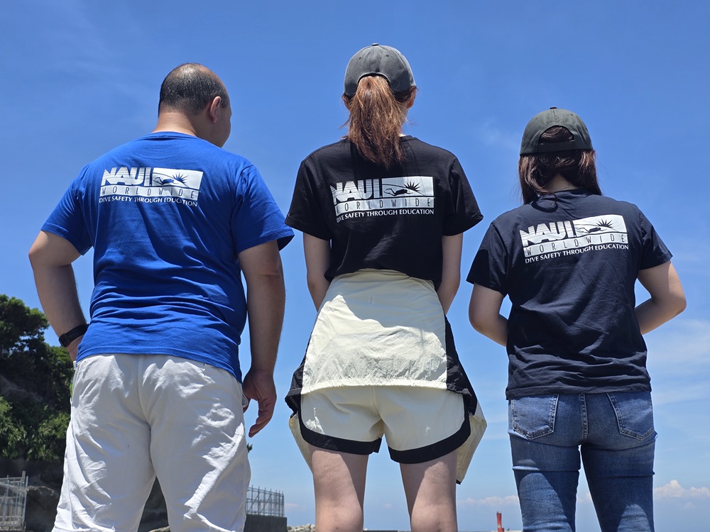 【在庫限り】NAUIオリジナルTシャツ販売のご案内