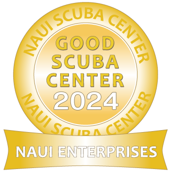NAUI Good Scuba Center賞Customer投票の受付開始!!