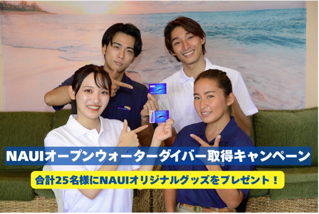 NAUIオープンウォーターダイバー取得キャンペーンのご案内