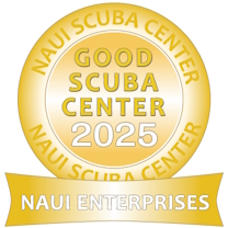 NAUI Good Scuba Center賞Customer投票の受付開始!!