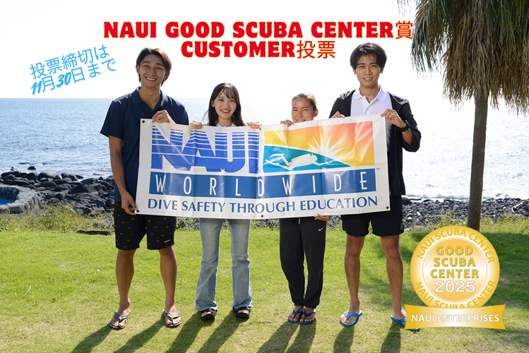 投票締切は11月30日まで！ぜひご投票ください！