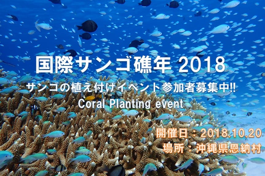 「国際サンゴ礁年2018」サンゴ植え付け＆サンゴ礁域スノーケリングのご案内