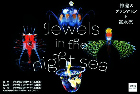 水中写真家・峯水亮氏の写真展「Jewels in the night sea　神秘のプランクトン」開催