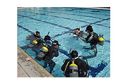 AVX^gCXgN^[\ASSISTANT INSTRUCTOR\