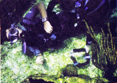 XL[_Co[\Rescue Diver\